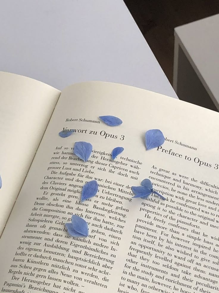 Narration Techniques: Essentials are the most powerful Written by Salma Derkaoui, IzeyLife